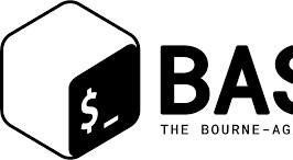 Bash